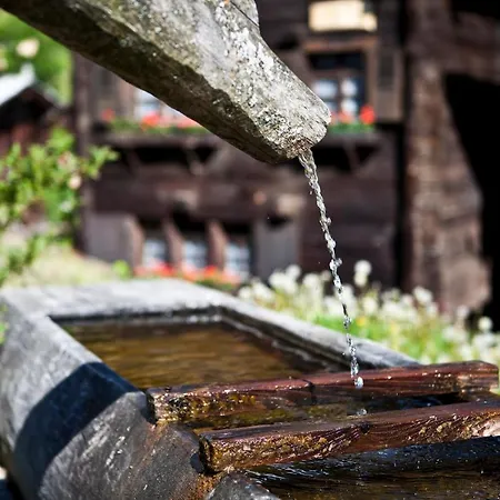 Chalet Tschuggen 41 Blatten bei Naters